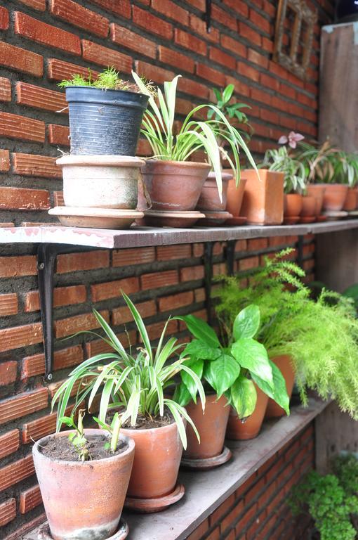 Guest house Sriyanar Place